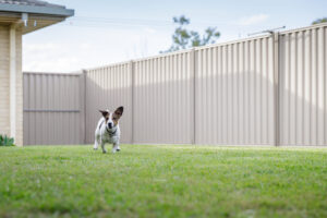 hercules fence northern virignia fencing solutions for pet owners